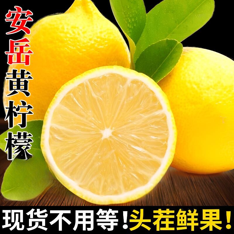 四川安岳多汁黄柠檬果园三级各型号新鲜水果柠檬水坏柠檬鲜果