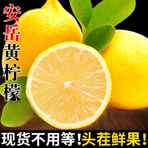 四川安岳多汁黄柠檬果园三级各型号新鲜水果柠檬水坏柠檬鲜果