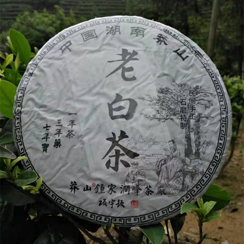 湖南省郴州市宜章县莽山钟家茶厂老白茶 莽山白牡丹茶 特级白茶叶