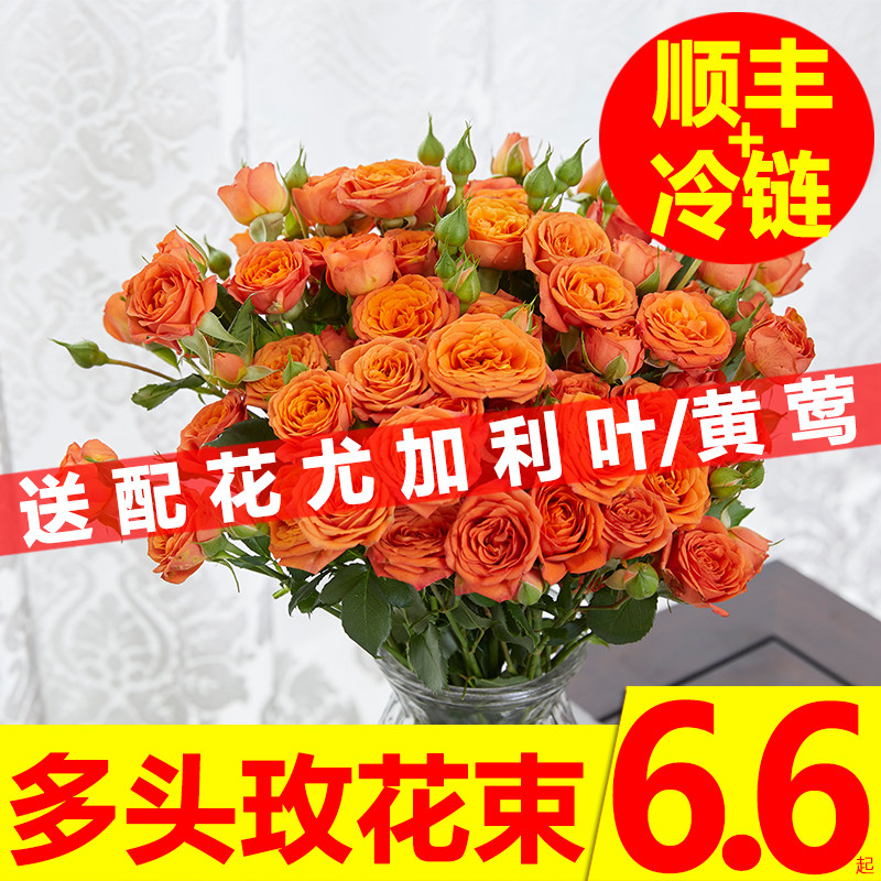 泡泡玫瑰花 价格 怎么样 图片