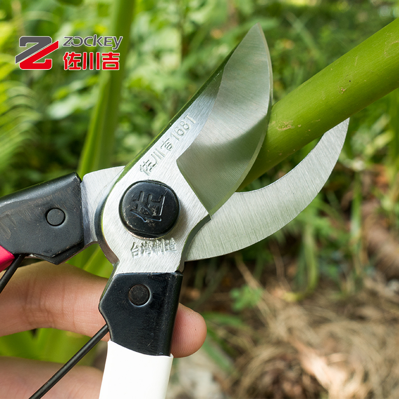 台湾佐川吉修枝剪168T剪刀花枝剪粗枝剪子树枝剪园林修剪工具