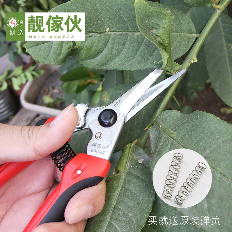 靓傢伙782A稀果修果剪葡萄枝专用剪刀蔬果采果剪水果园橘子果树剪