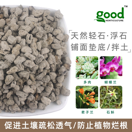轻石钵底石兰花浮石多肉植物盆栽营养颗粒土垫底石水族过滤材造景