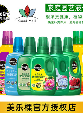 美乐棵绣球盆景绿萝有机液体肥