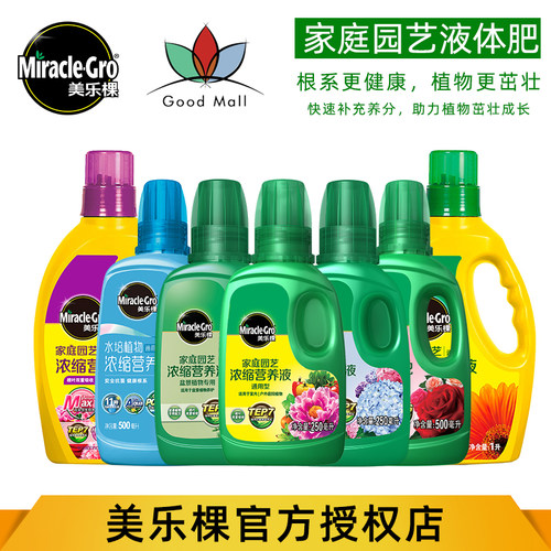 美乐棵绣球盆景绿萝有机液体肥