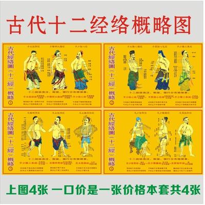中医文化海报古代十二经络图概略挂图中医院人体穴位医学挂图墙贴