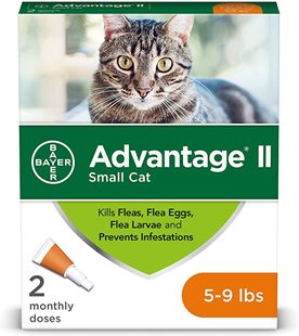 Small lbs Cats for Prevention Flea Advantage Bayer