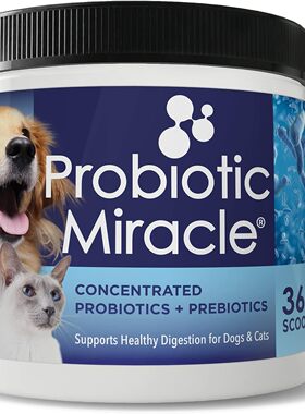 美国代购NUSENTIA Probiotics for Dogs -(360 Scoops)-Probiotic