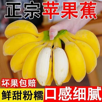 苹果蕉正宗香蕉5斤新鲜水果当季整箱自然熟小米蕉芭蕉包邮粉蕉9