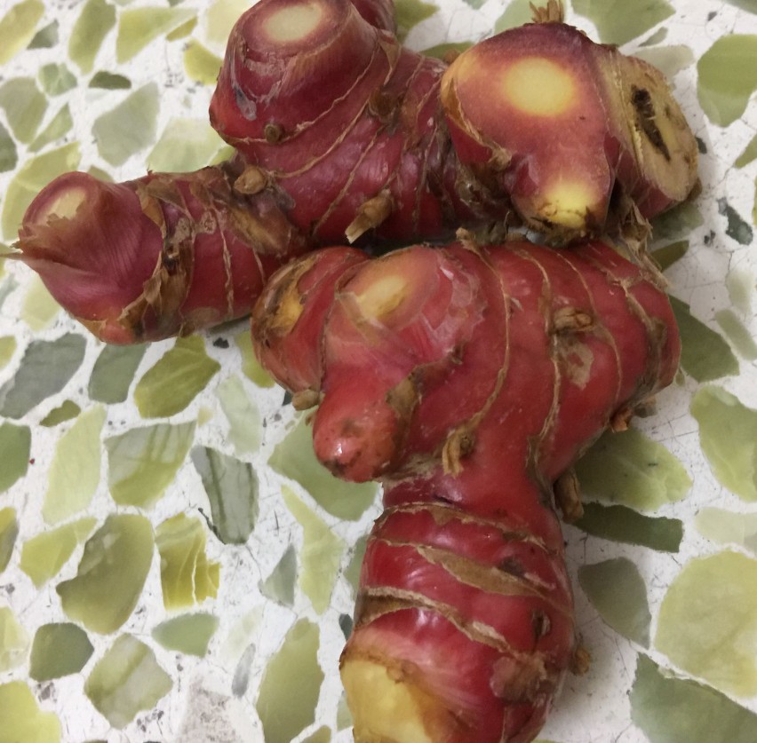 南姜潮汕新鲜芦苇羊肉卤味冬荫功