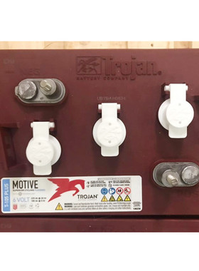 美国邱健Trojan蓄电池T-105/6V225AH电瓶T105洗地机升降机观光车