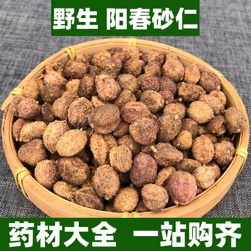 正宗广东野生阳春砂仁中药材正品砂仁米粉非特级新鲜中草药材500g