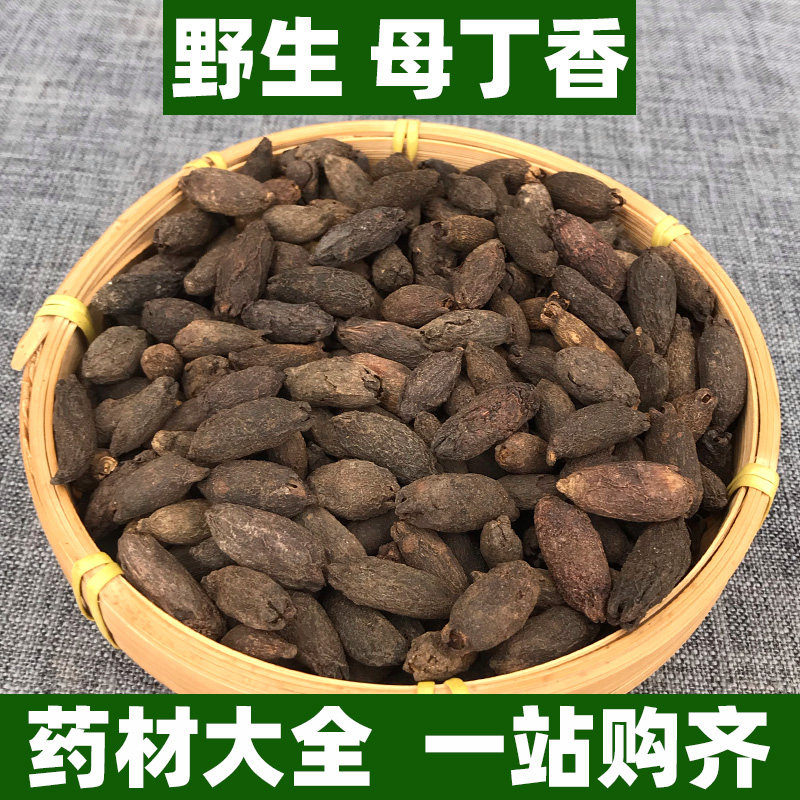 野生母丁香中药材正品雌丁香料可打母丁香粉非特级干中草药材500g