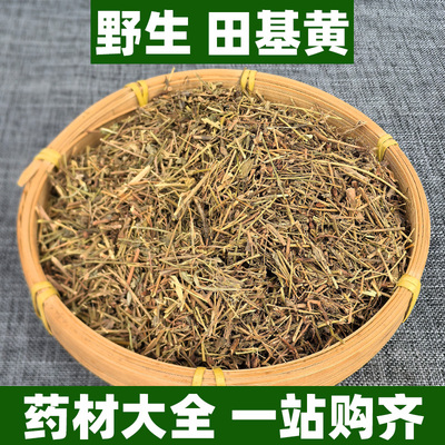 广西野生田基黄中药材正宗正品中草药新鲜晒干田基王地耳草雀舌草