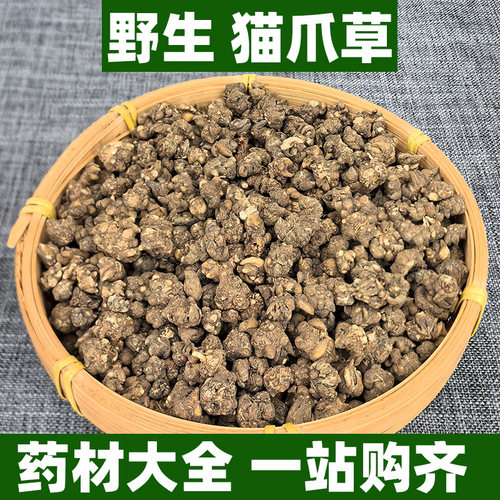 正宗广西野生猫爪草中药材正品新鲜可打粉猫爪儿草三散草中草药材
