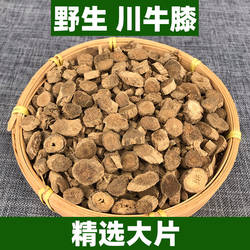 野生四川天全川牛膝中药材正品正宗可打都牛膝粉新鲜甜牛膝肉牛膝
