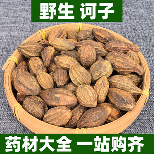 广西野生诃子中药材正品柯子肉皮果可打粉诃黎勒诃黎诃梨随风子