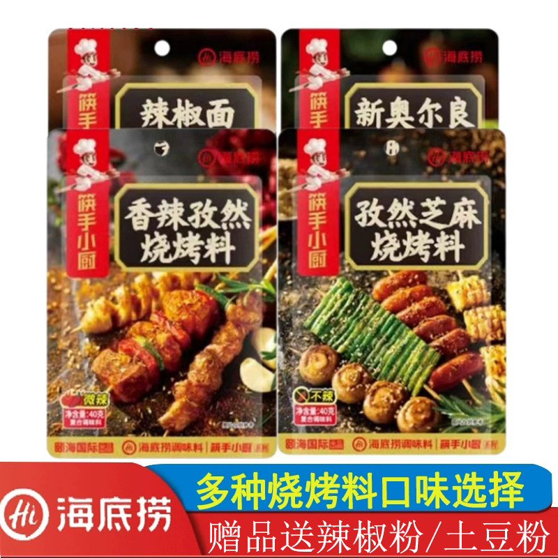 海底捞香辣孜然芝麻烧烤撒料40g