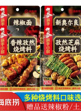 海底捞香辣孜然芝烧烤撒料40g辣椒面烤肉酱蘸料韩式调味干碟家用