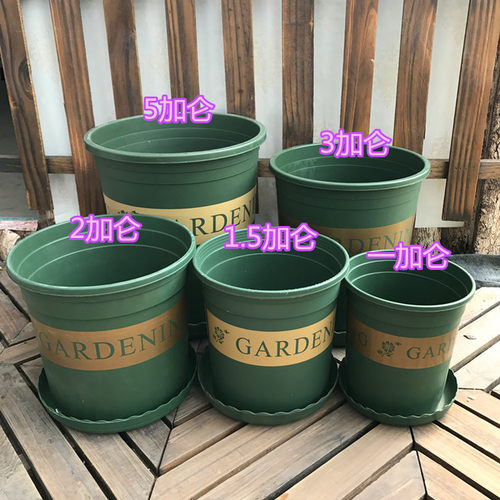 环球印花英伦风花盆 1 2 3 5加仑花盆 塑料花盆 带托盘 结实耐用