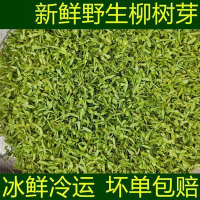 2025年柳芽蔬菜焯水冷冻柳树芽凉拌柳芽菜柳尖柳絮柳构菜现货包邮