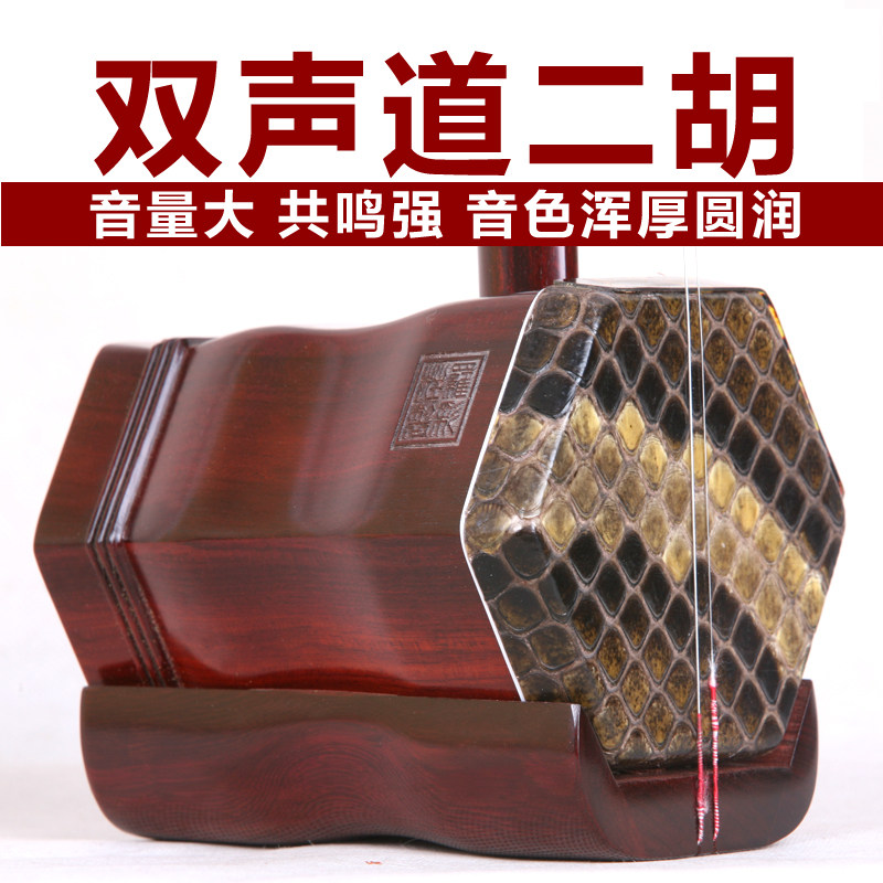 双声道二胡罗彩柱考级入门成人
