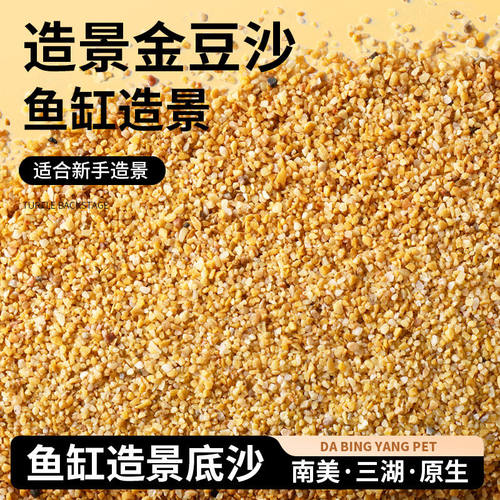 鱼缸底砂造景雨林沙南美