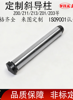 品牌标准斜导柱Z00/Z11/Z13/Z01/Z03台阶塑胶精密模具支持定做