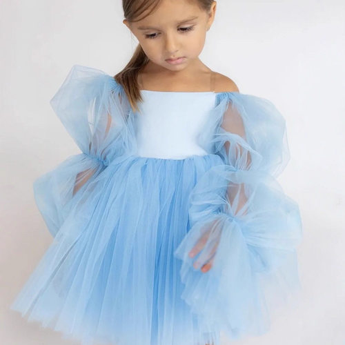 Princess Dress儿童周岁礼服可爱花童婚礼一字肩公主裙网纱蓬蓬裙