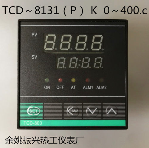 厂家直销 余姚振兴热工仪表。TCD～8131（P） K   220V  0～400.C