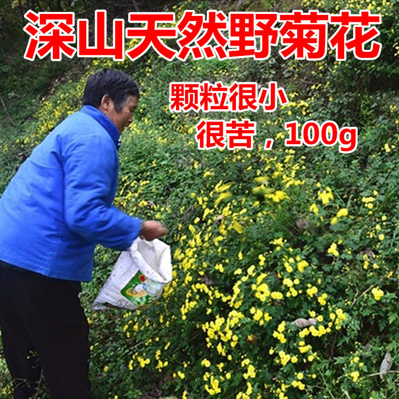 农家深山采摘野生菊花干货精选干米菊中药材小胎菊花泡茶味苦100g
