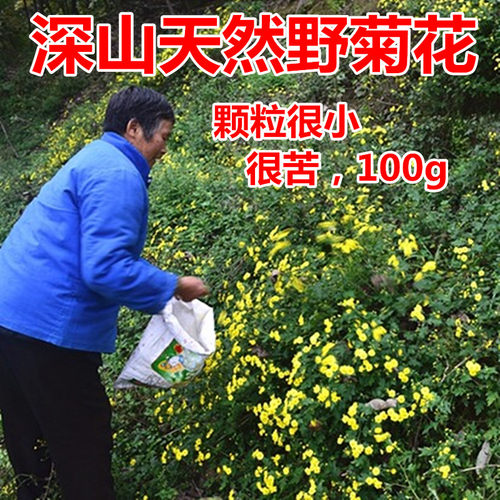 深山纯野生小菊花味苦效果好