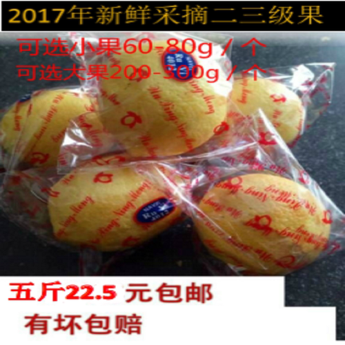 果园直发新鲜采摘皮薄包邮黄柠檬