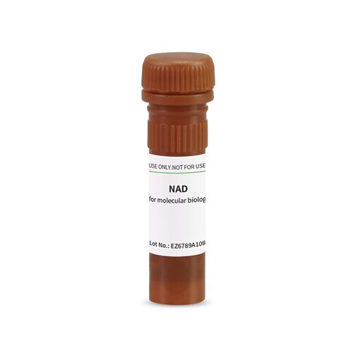 BioFroxx 1113MG100 氧化型辅酶I [NAD]  100mg