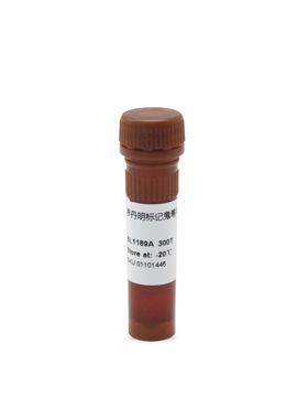 BL1189A TRITC Phalloidin 罗丹明标记鬼笔环肽