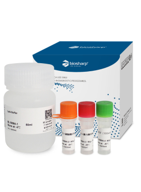 BL1589A 总蛋白提取试剂盒