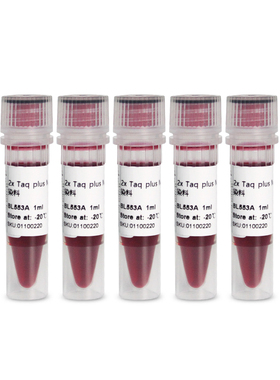 BL553B 2×Taq plus PCR Master Mix含染料