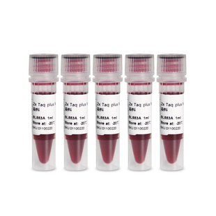 PCR BL553B 2×Taq plus Mix含染料 Master