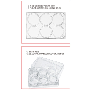 新品6孔12孔24孔48孔96孔384孔基质胶包被表面细胞培养板