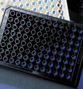 康宁Corning 3882 96孔板 黑色 透明平底 半区TC表面 带盖 灭菌，