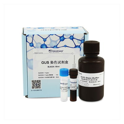 bs BL622A GUS染色试剂盒 50ml