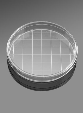 BD Falcon 353025 150*25mm细胞培养皿，标准TC