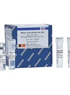 Qiagen 79254 DNA酶套装