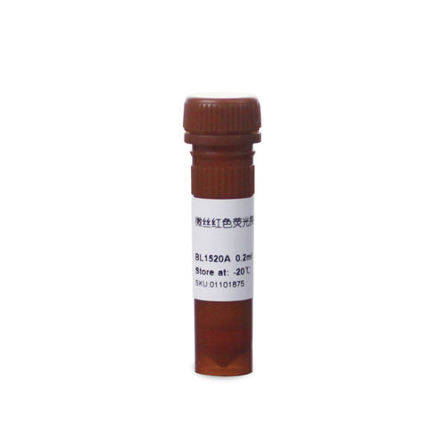 白鲨 BL1520A Actin-Tracker Red-555 微丝红色荧光探针 0.2ml/支