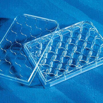 现货Corning 康宁Costar3337 24孔板，透明，平底，CellBIND表面