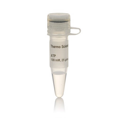 Fermentas(MBI) R0441 ATP 溶液 (100 mM)  0.25ml/支