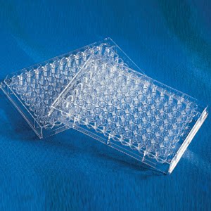 康宁Corning 3679 96孔UV板半区板紫外透明UV 未处理表面 未灭菌
