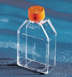 28年长效期康宁Corning 3289培养瓶25cm透气盖CellBIND表面灭菌