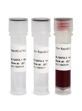 BL1247A RapidCut NotI 快速限制性内切酶