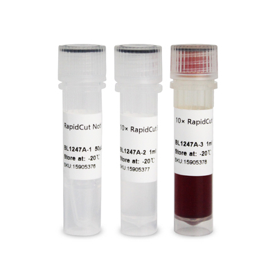 BL1247A RapidCut NotI 快速限制性内切酶